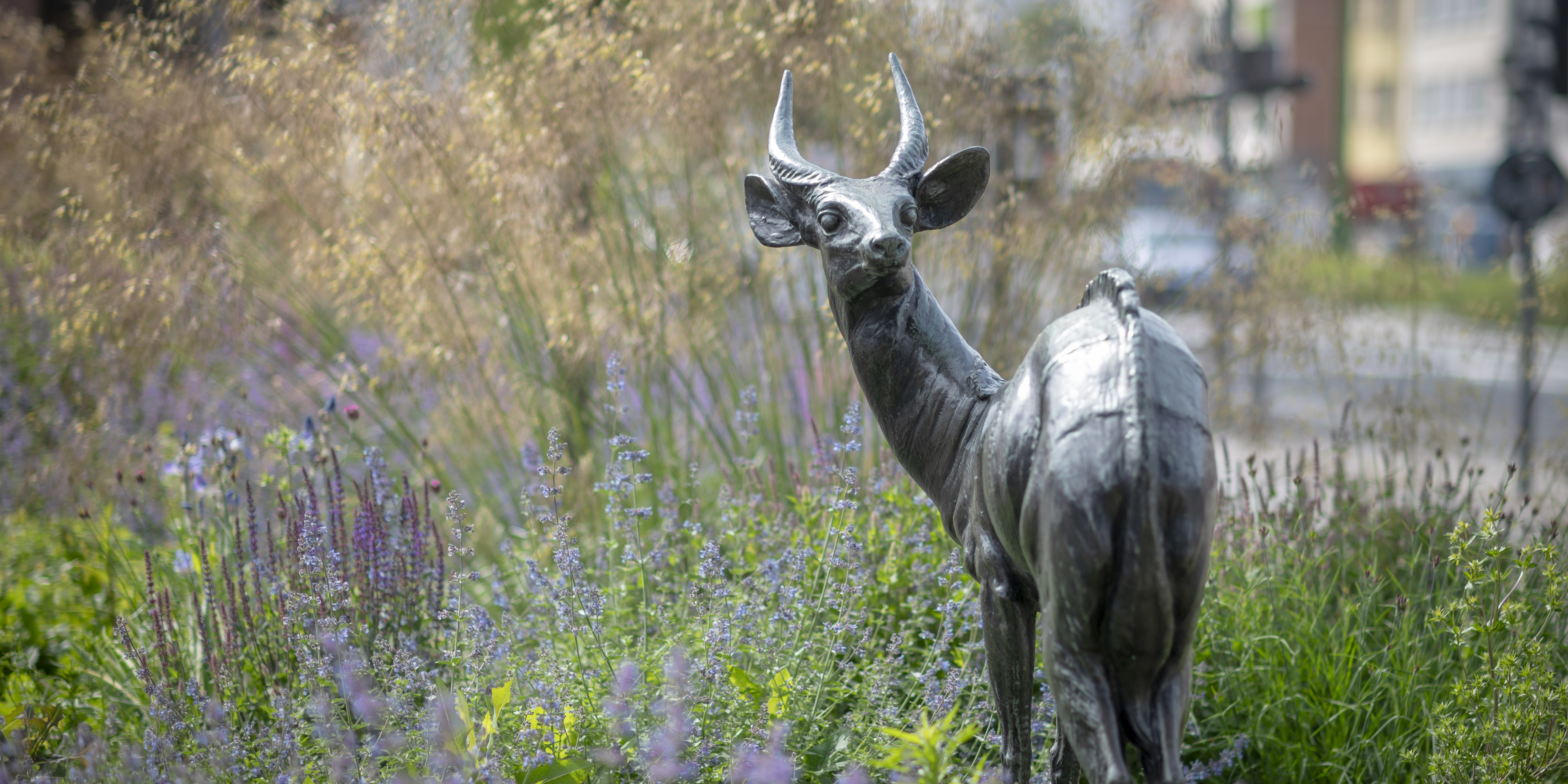 beeld van een antilope op het Frans Jochemsplein beeld van een antilope op het Frans Jochemsplein